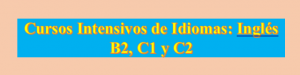 Clases de ingls individuales de 20 horas/mes/1 hora diaria